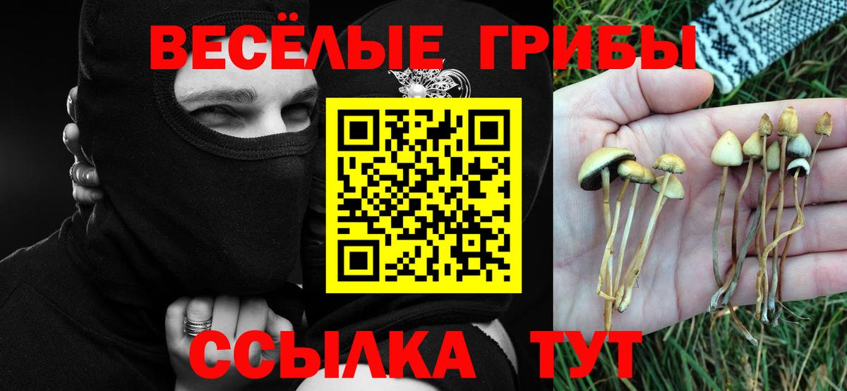 Галлюциногенные грибы Magic Shrooms Феодосия